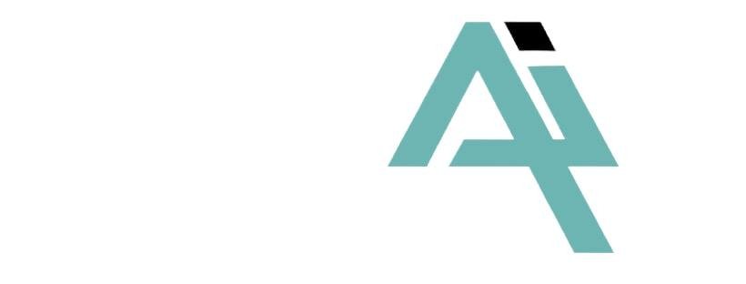 ANALYTICAL FINANCE INC